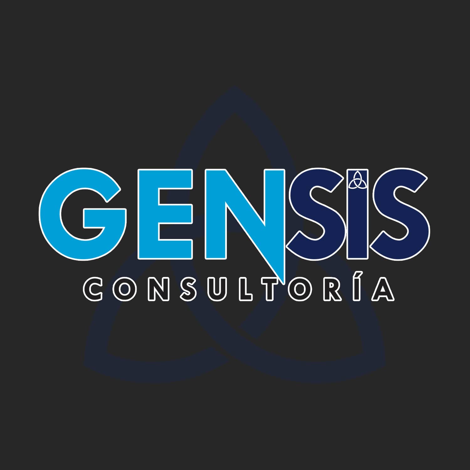 Foto de perfil de GenSis Consultor&iacute;a